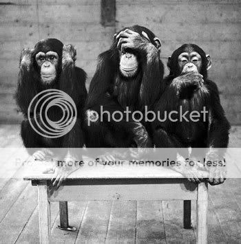 three wise monkeys Pictures, Images and Photos