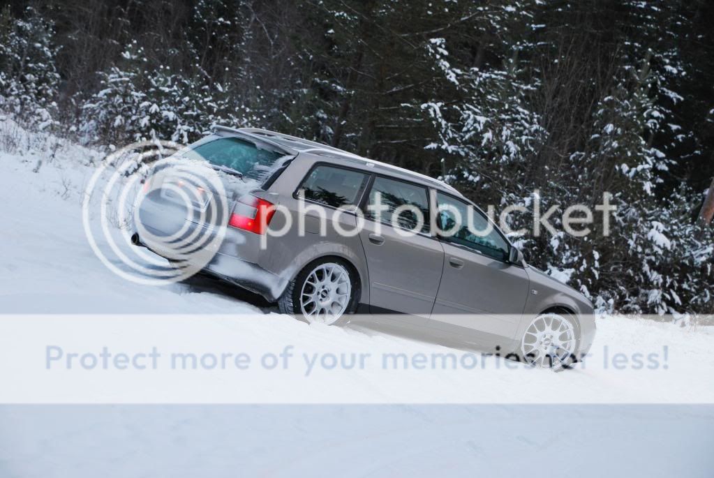 DSC_22672.jpg?t=1291050948